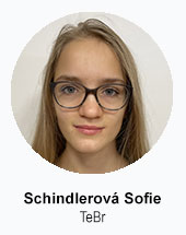 Schindlerova RDJ SY