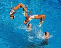 MEJ synchro 02